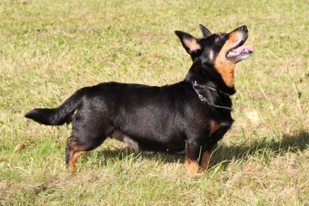 Mc Heel's J-Lo kuva Tanja Teräväinen.JPG